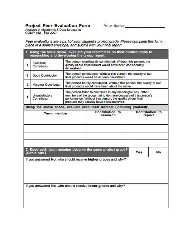 peer project evaluation form