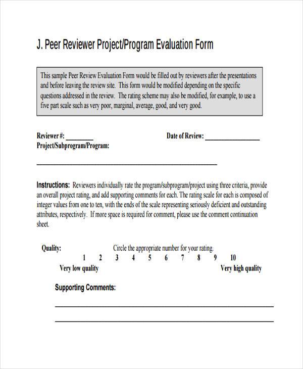 peer review evaluation form example
