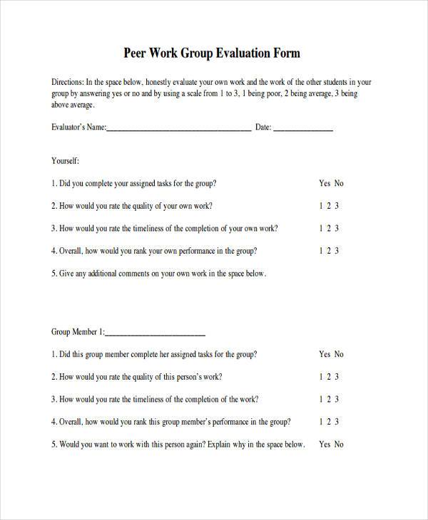 peer work group evaluation form