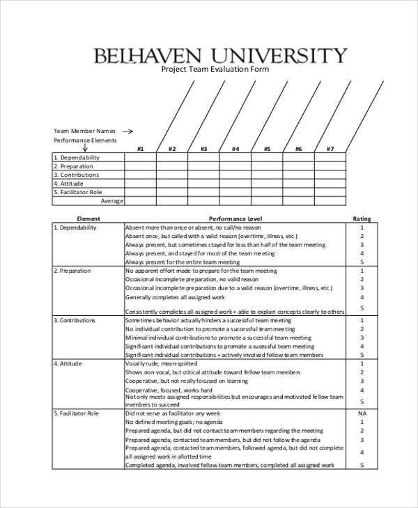 project team evaluation form3