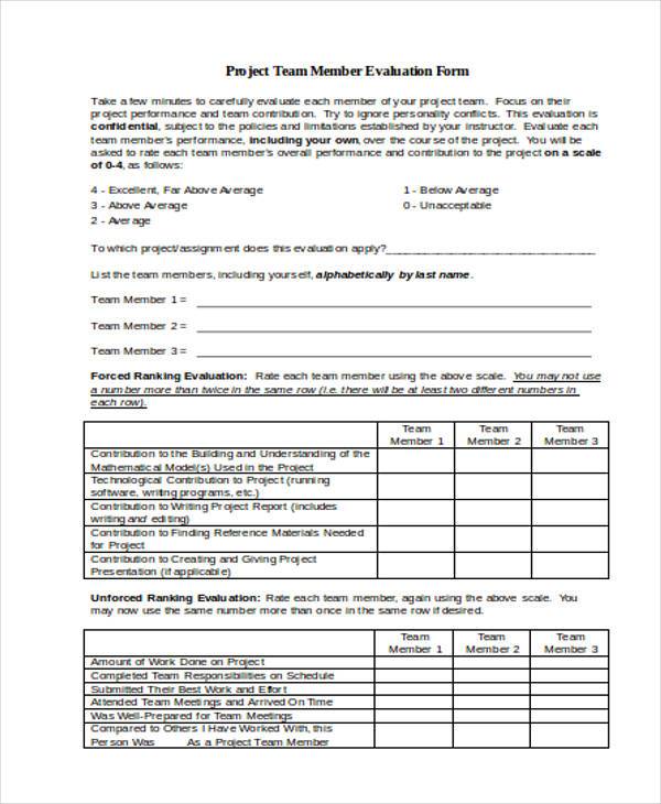 project team member evaluation form