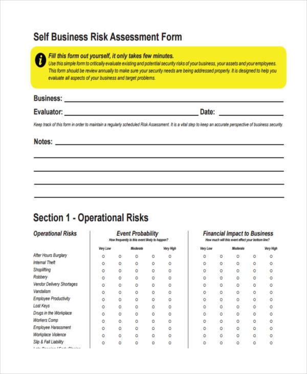 initial assessment in business plan