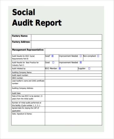 social audit report form