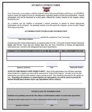 student consent form example