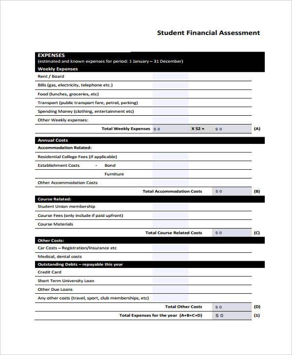 FREE 9+ Financial Assessment Forms in PDF MS word Excel