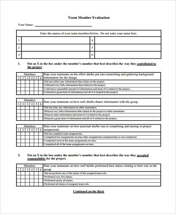 team member evaluation form