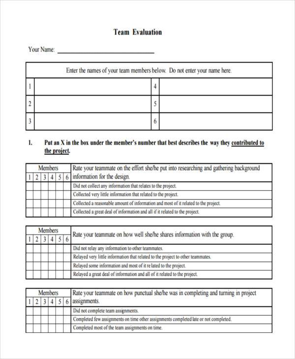 team project evaluation form
