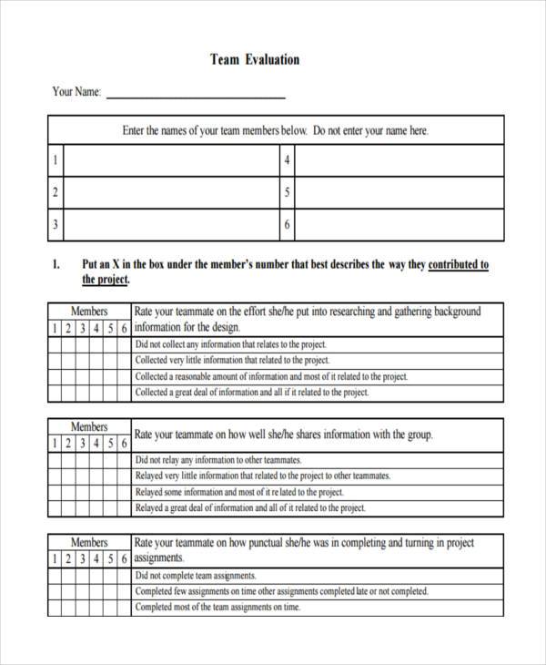 Team Assessment Assignment Team Evaluation