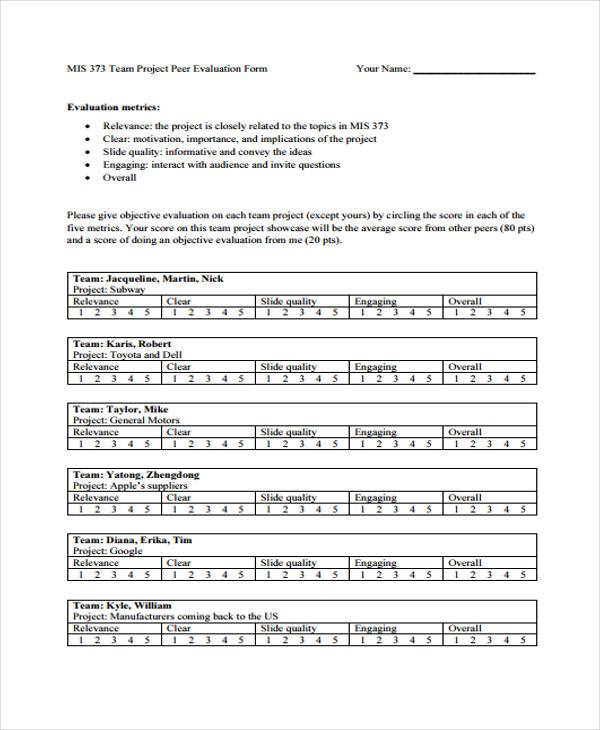 team project evaluation form1