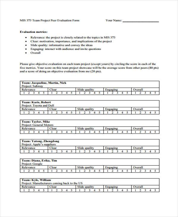 FREE 9+ Project Evaluation Forms in PDF | Excel