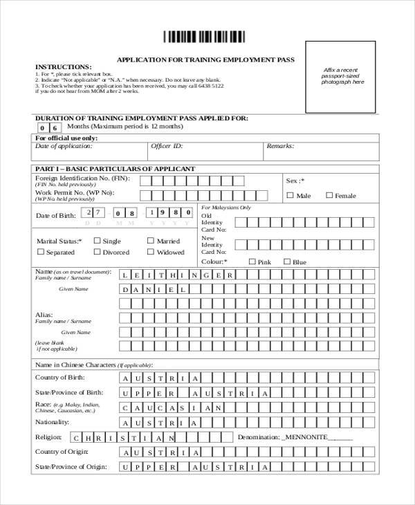 training employment pass application form