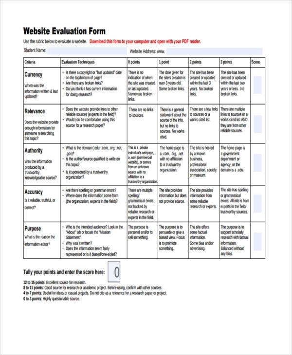 example of website evaluation essay