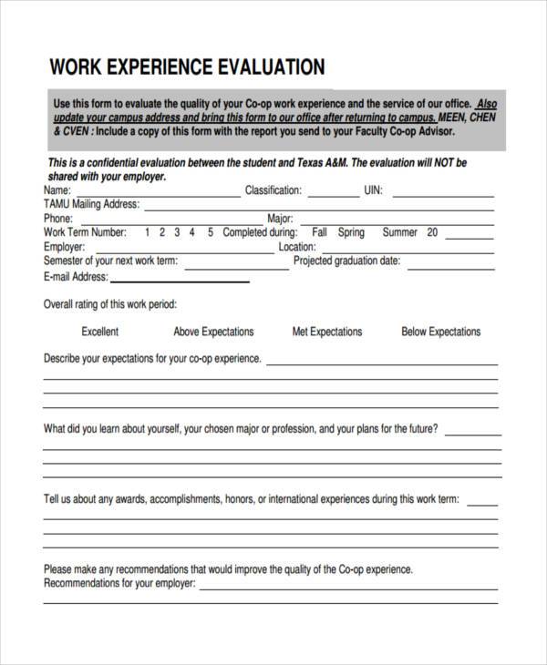 work experience evaluation form