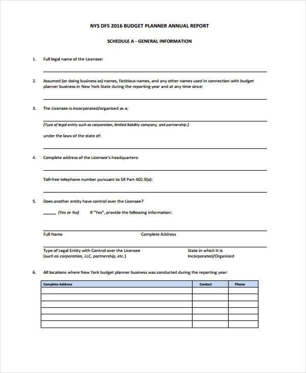 annual budget report form