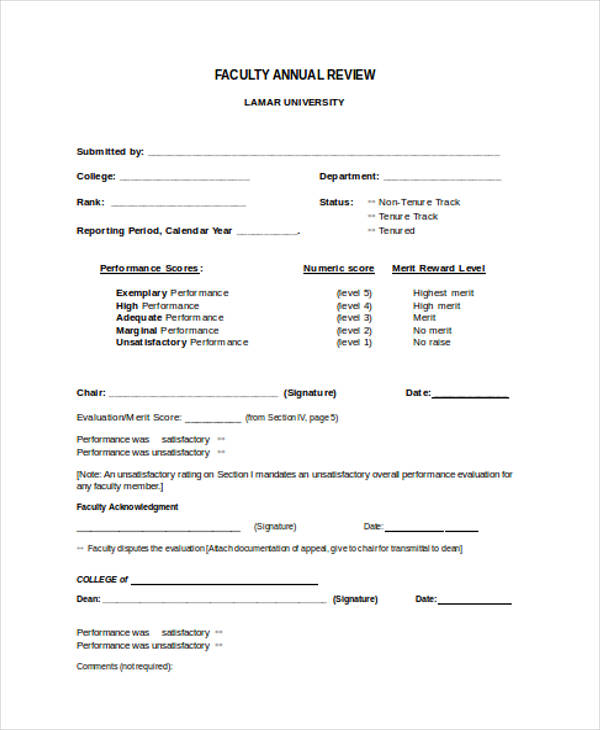 faculty annual review form