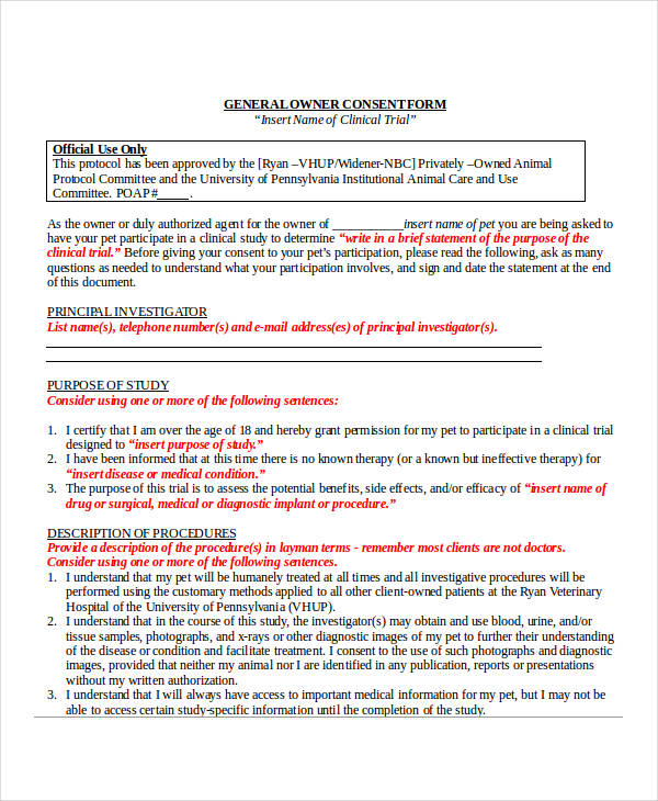 general owner consent form