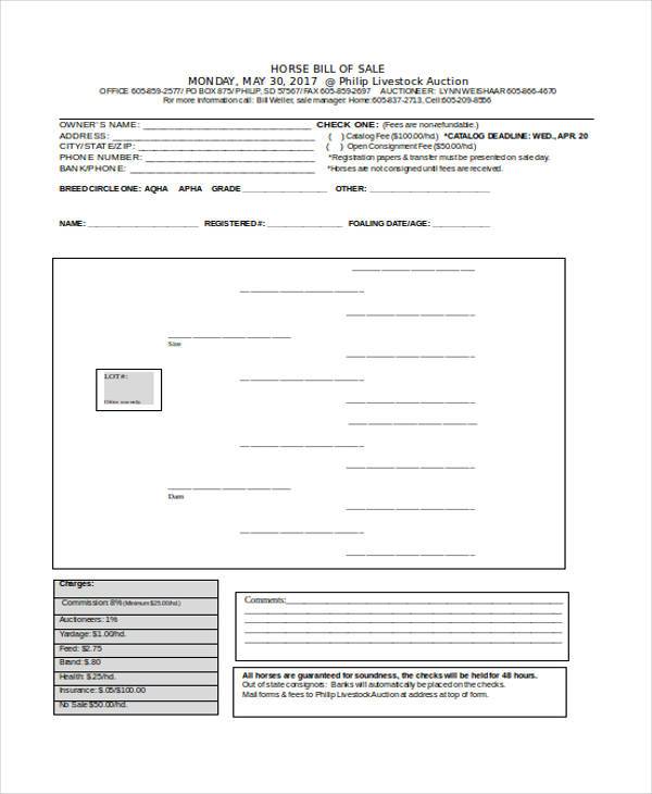 horse bill of sale form in word