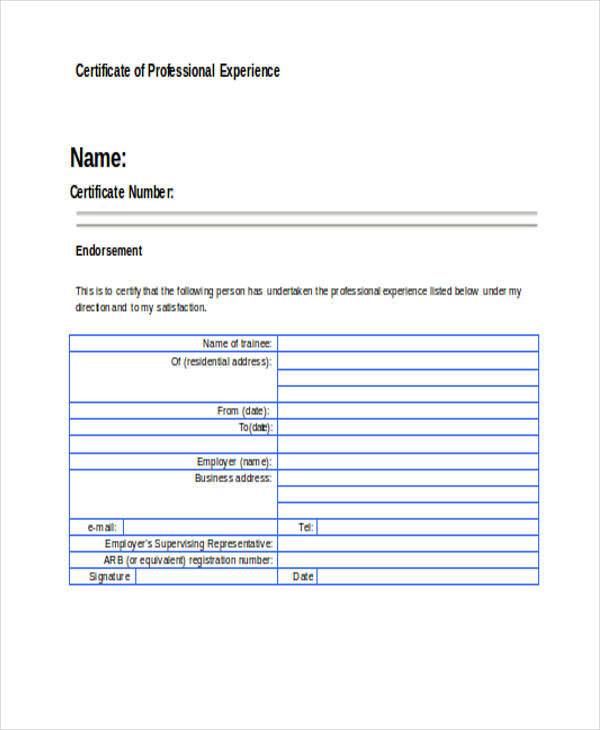 professional experience certificate form