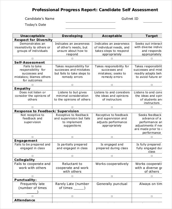 professional progress candidate self assessment