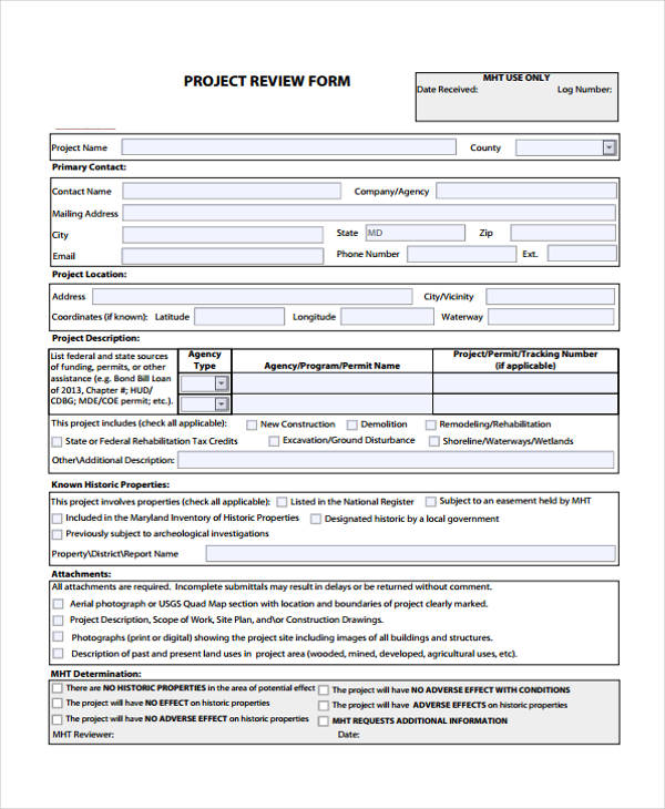 project review form