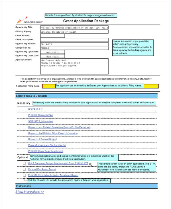 Small Business Grant Template