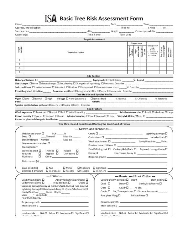 Free 27 Risk Assessment Forms In Pdf Ms Word