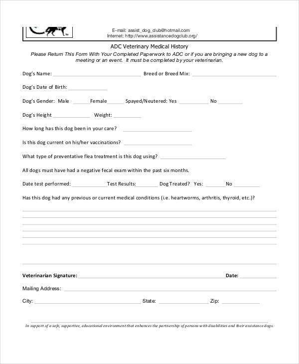 Printable Veterinary Physical Exam Form