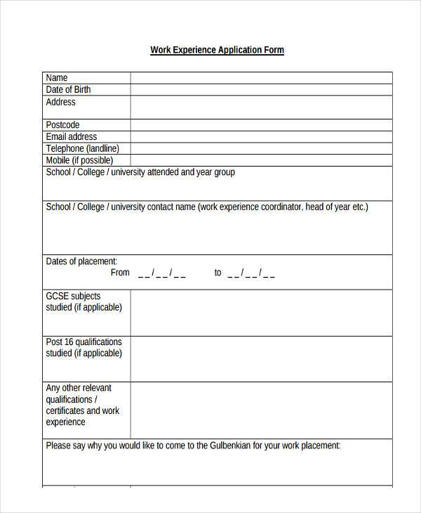 work experience application form sample