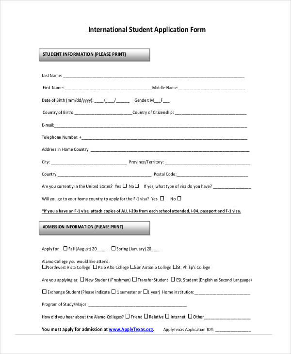 affidavit support international application form