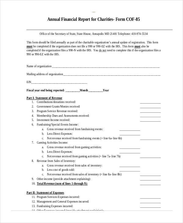 annual financial expense report form1