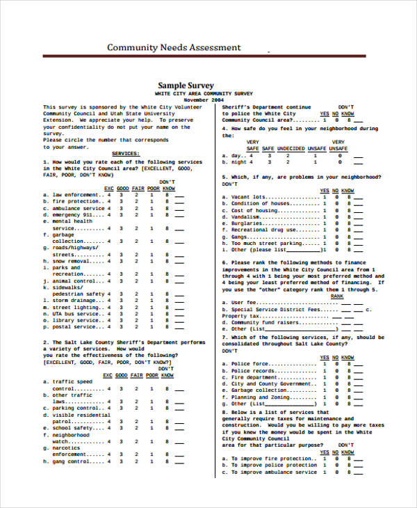 Online Community Needs Assessment Survey Template