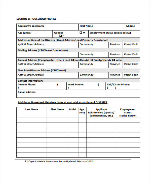 community recovery needs assessment form