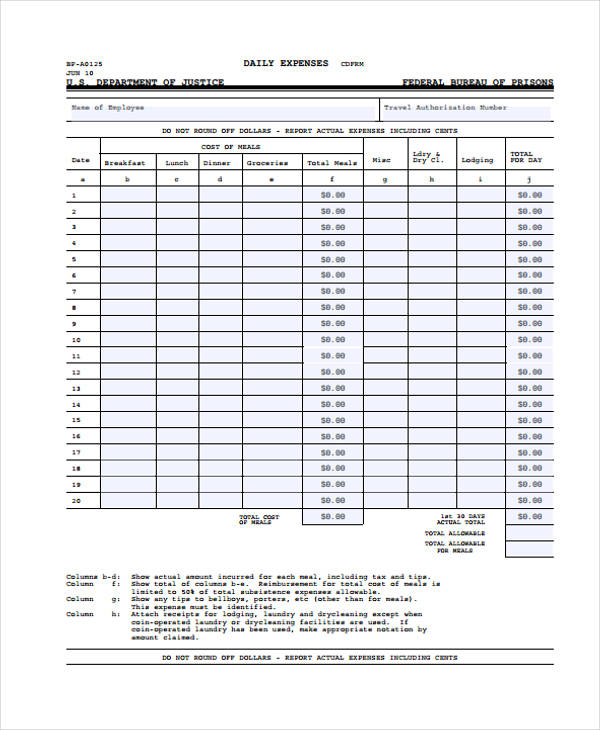 daily sales expense report form