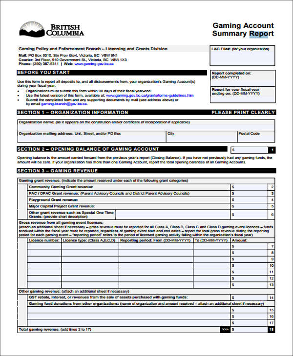 FREE 8+ Account Report Forms in PDF | MS Word | Excel