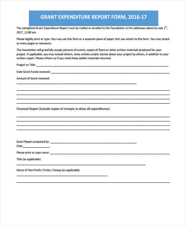 grant expenditure report form