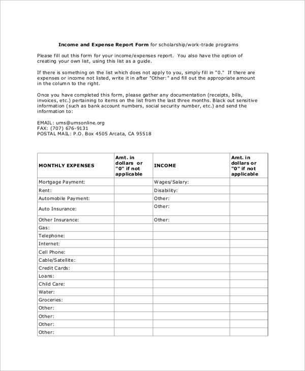 monthly income expense report form1