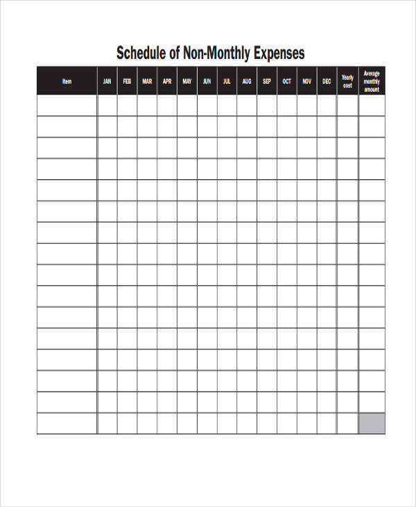 non monthly living expense form