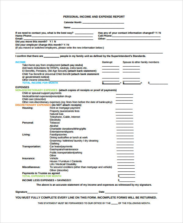 personal income expense report form1