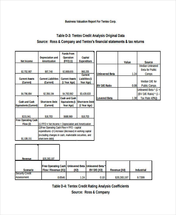 sample business valuation report