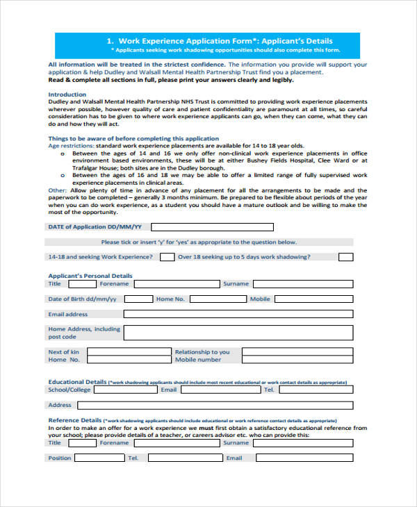 work experience application form example
