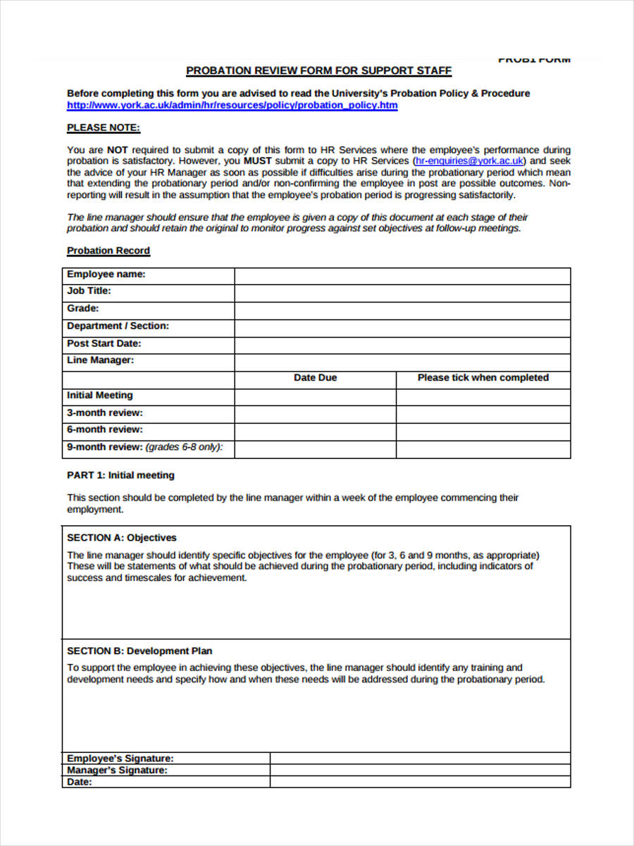 FREE 11+ Probation Review Forms in PDF Ms Word