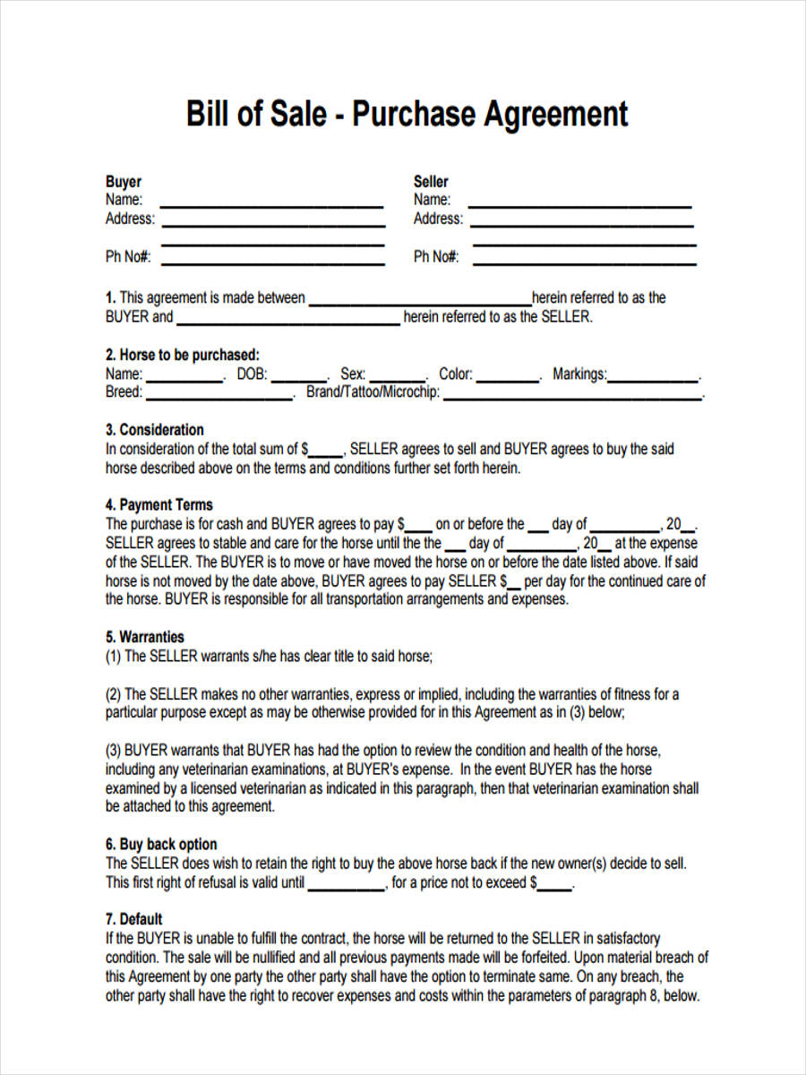 Free 7 Horse Bill Of Sale Forms In Pdf Ms Word