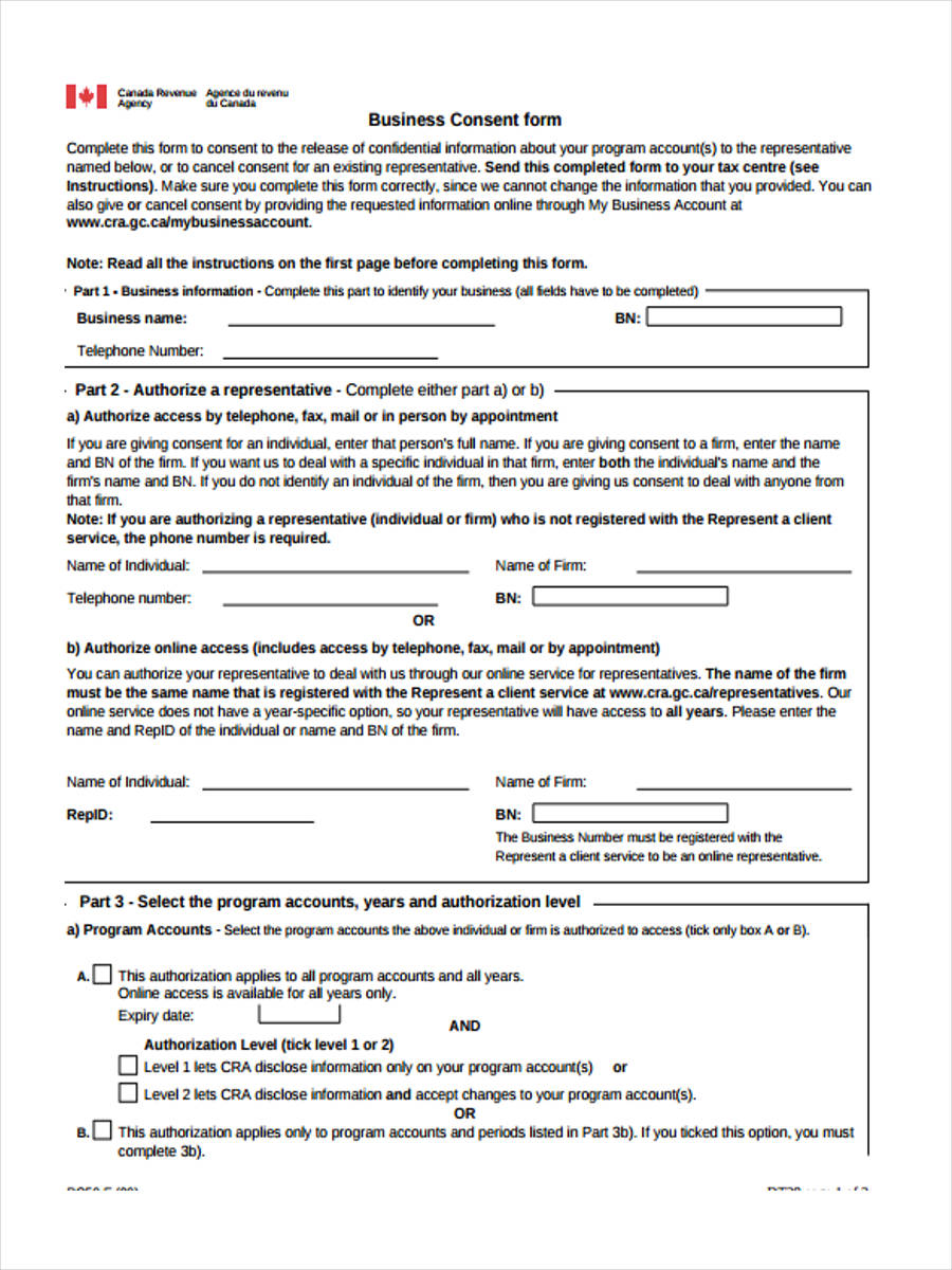 FREE 6+ Business Consent Forms in MS Word PDF