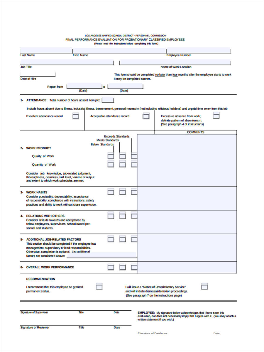 Free 8 Probation Review Forms In Ms Word Pdf 5073