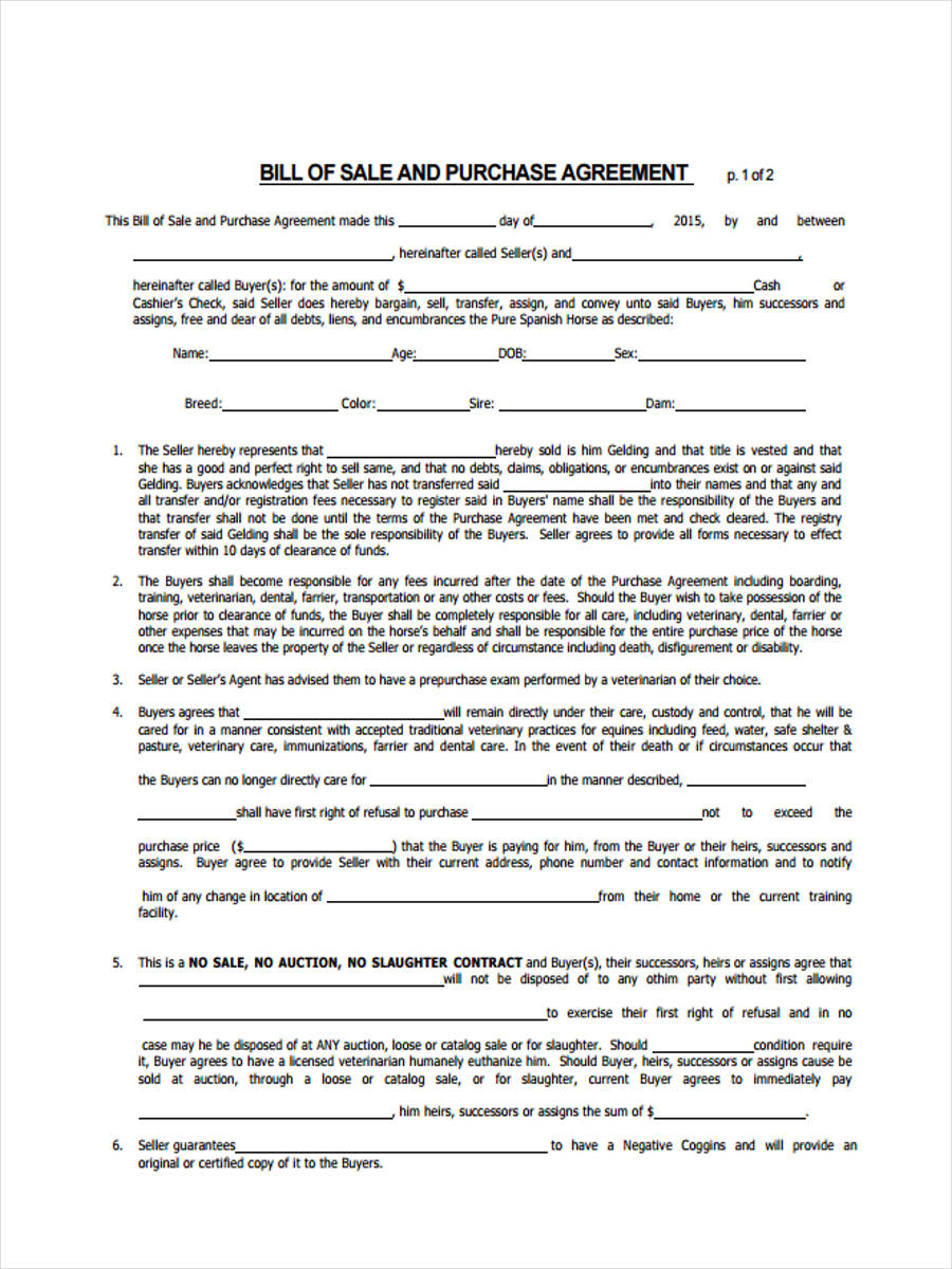 bill of sale horse template