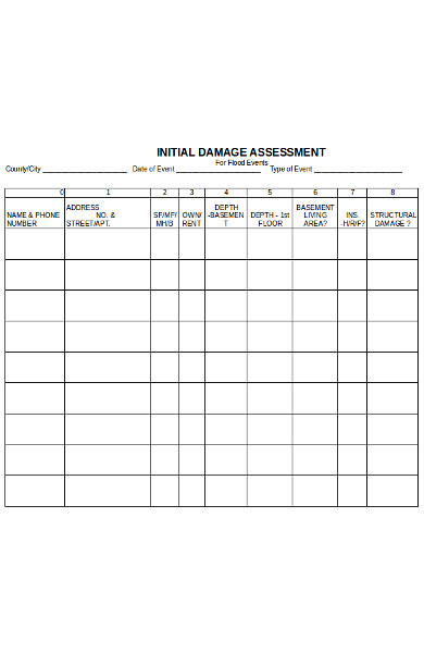 initial damage assessment form