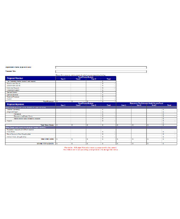 line item budget form sample