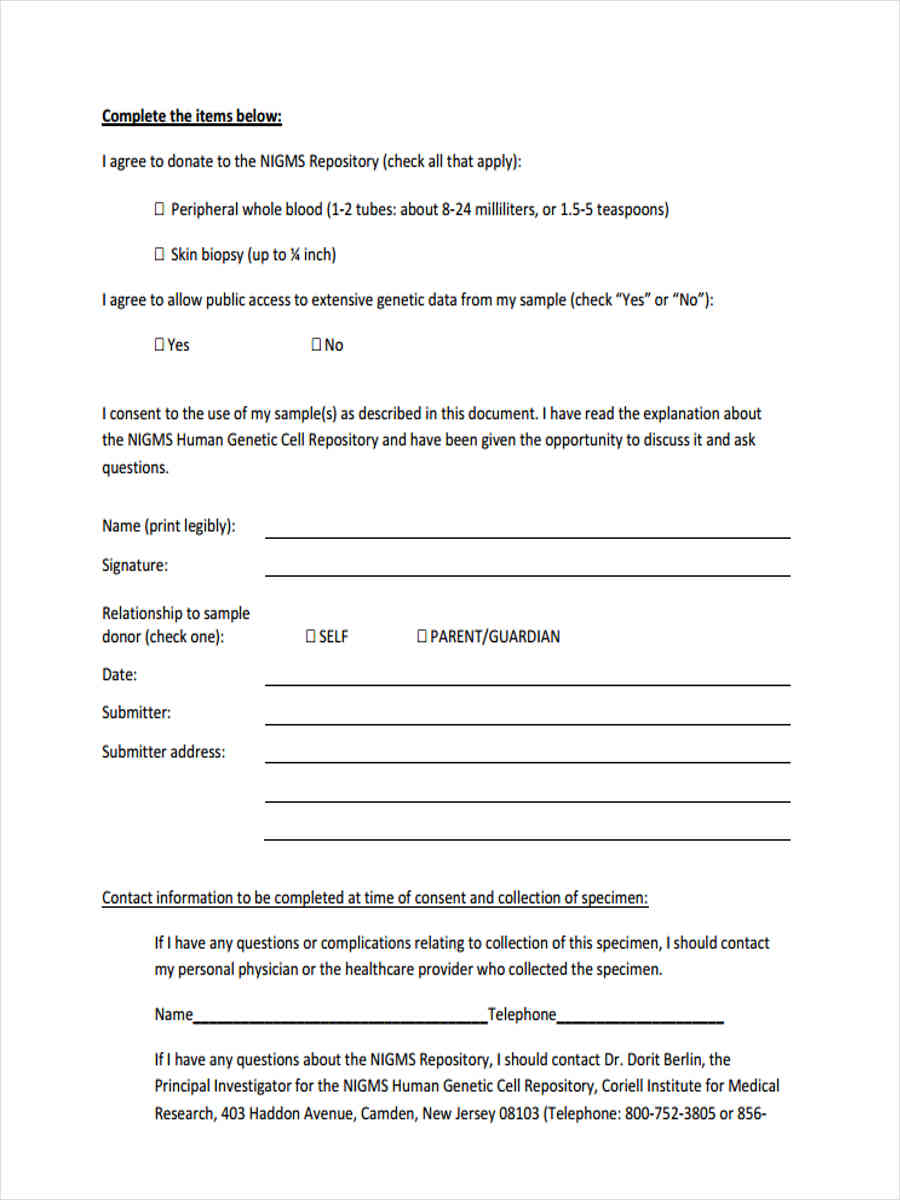 Free 6 Model Consent Forms In Ms Word Pdf