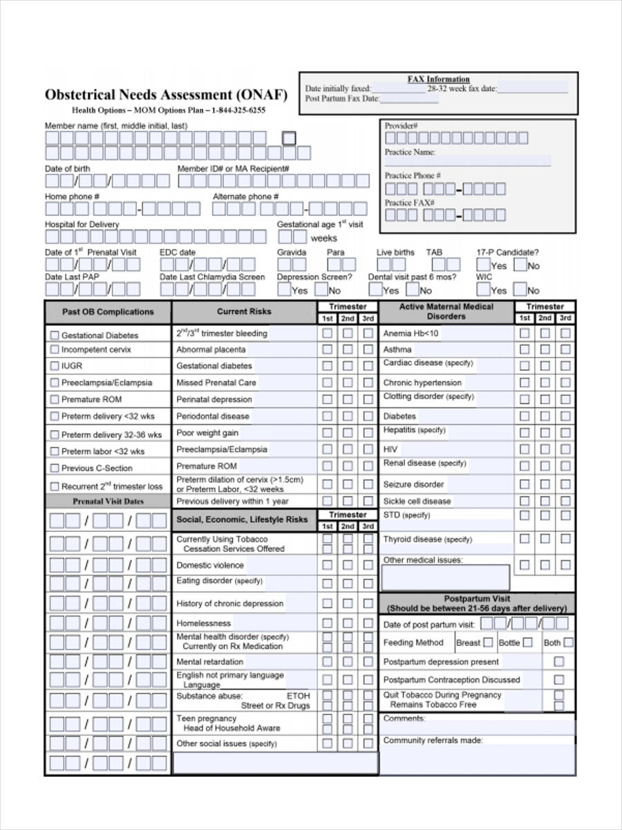 Free Sample Initial Assessment Forms In Pdf Excel Ms Word