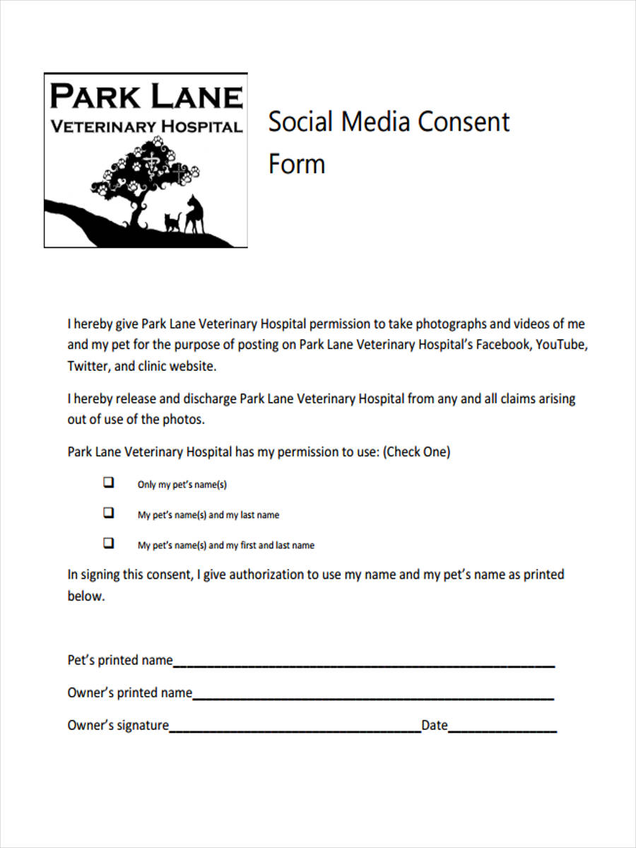 Media Consent Form Template 9315